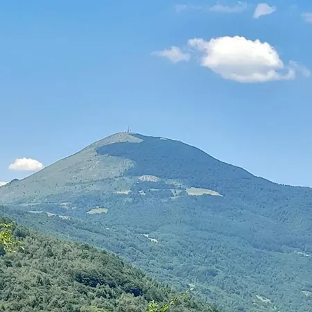 Mountain House