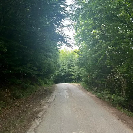 Ljetna Basta 